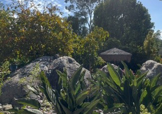 78 million years old boulders and fruit trees
