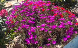 What Every Woman Deserves to Know After a Cancer Diagnosis